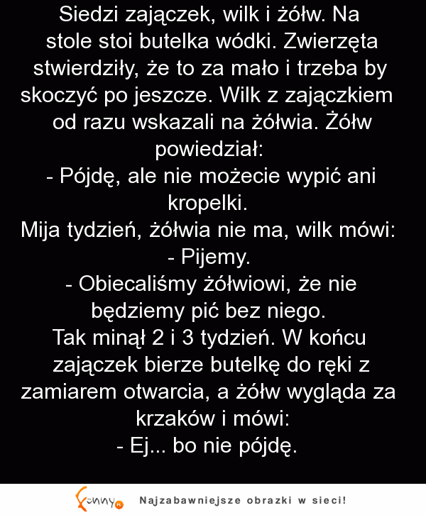 Zając wilk i żół spotkali sie przy wódce. Zając bohaterem imprezy XD