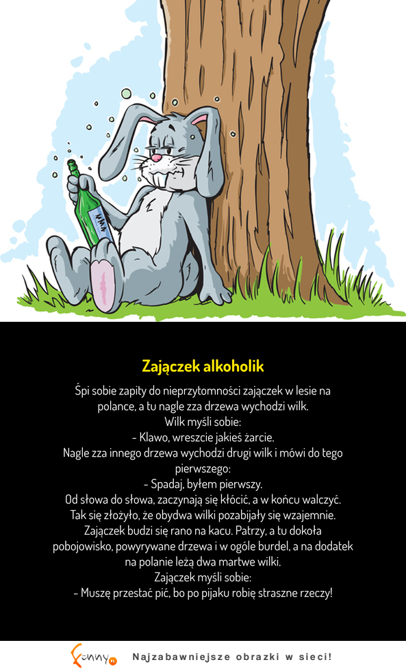 Zajączek alkoholik