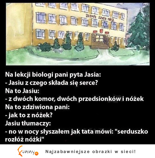 Jasiu z czego składa się serce! :)