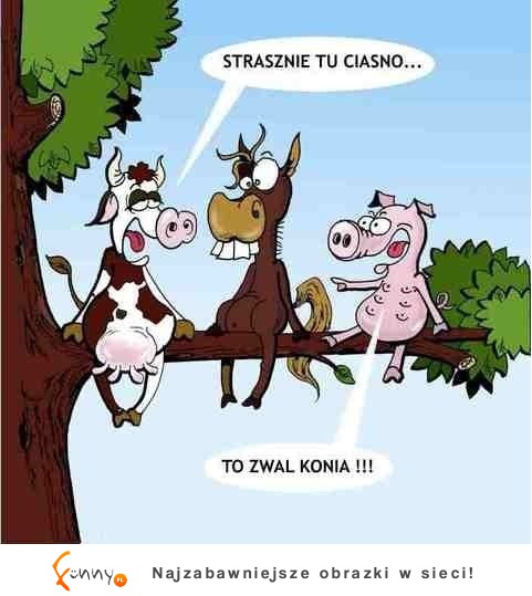 Strasznie tu ciasno