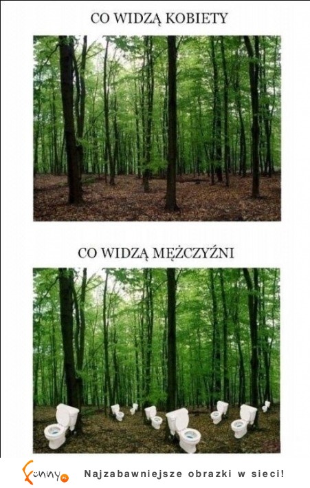 LAS- co widzą KOBIETY a co widzą MĘŻCZYŹNI- dobre! :D