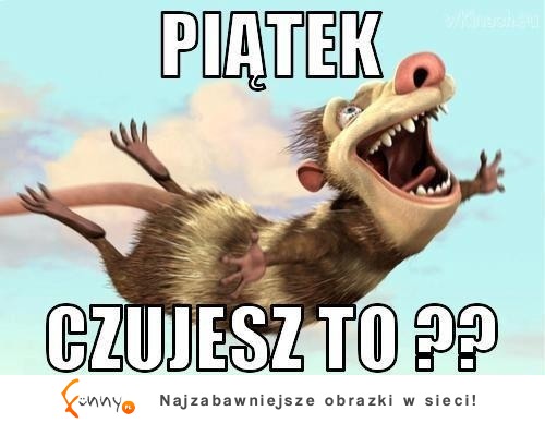 Strefa marzeń taka jest