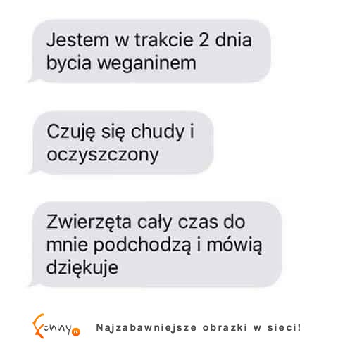 Oczyszczony