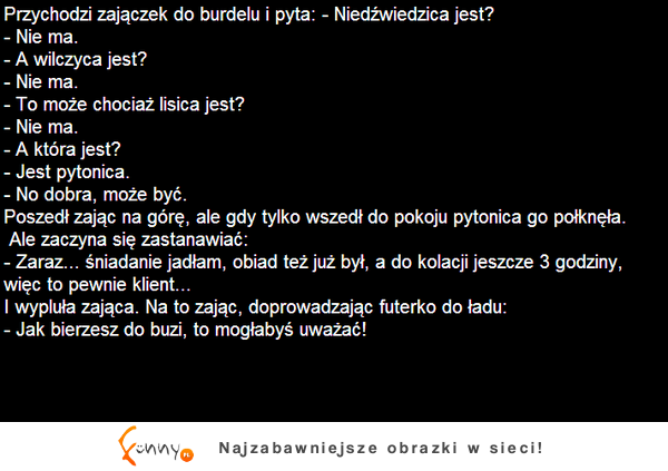 Przychodzi zajączek do burdelu i pyta...