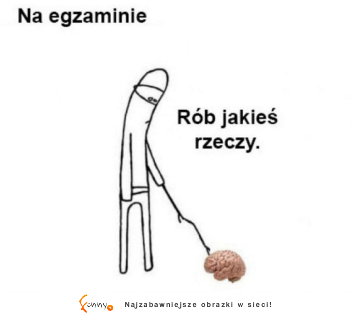 Rób jakies rzeczy