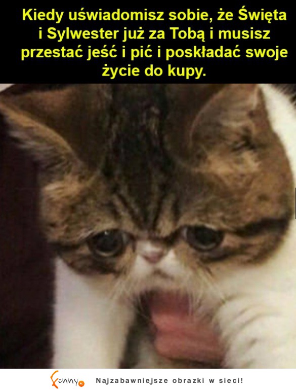 Koniec laby ;(