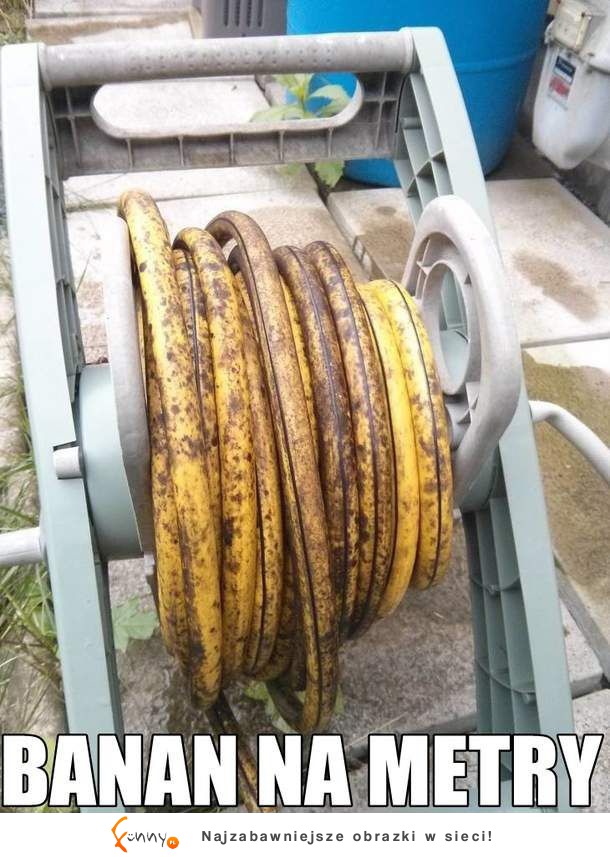 Banan na metry