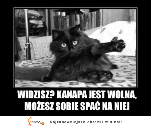 Kanapa wolna