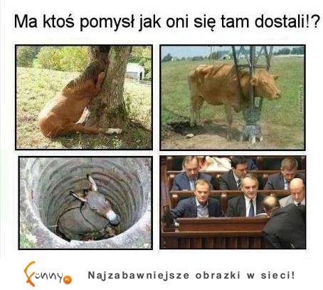 Jak oni się tam dostali? Wie ktoś? :D