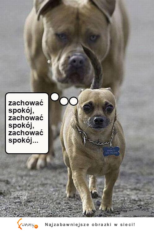 Zachowaj spokój :D