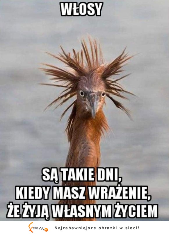 Włosy ;)