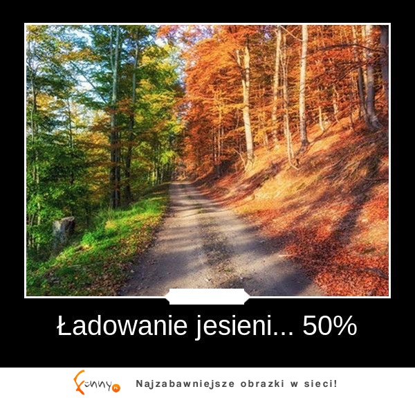 Ładuje