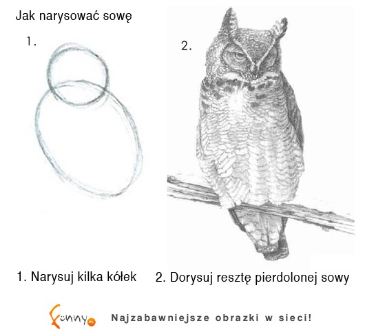 Prosty poradnik jak narysować sowę, krok po kroku! Spróbuj, a na pewno Ci się uda!