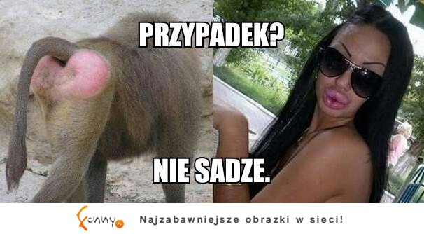 Przypadek