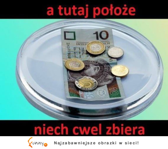 Niech zbiera