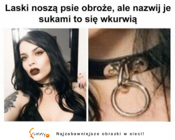 logika...