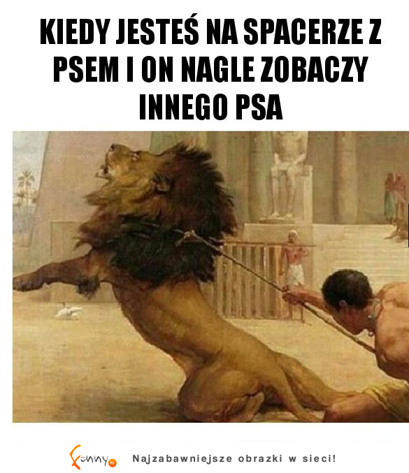 DOKŁADNIE TAK TO ZAWSZE WYGLĄDA XD