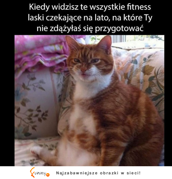 Kiedy widzisz te wszystkie fit laski