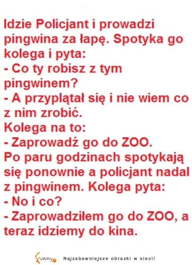 Policjant spotyka pingwina! haha co za akcja :D