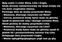 Matka miała trzy córki Różę, Lilię i Cegłę Pewne dnia spytały się dlaczego mają takie imiona. "Dlaczego cegła?" :)