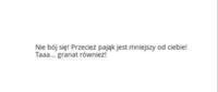 Nie bój się pająka...