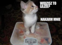 Nakarm mnie :)