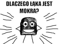 Dlaczego łąka jest mokra?