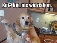 Podejrzane kiełbaski