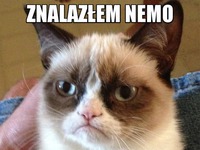 Znalazłęm nemo...