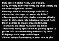 Matka miąła trzy córki: Różę, Lilię i Cegłę. Pewne dnia spytały się dlaczego mają takie imiona.. Dlaczego cegła?  ;D