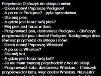 Przychodzi chińczyk do sklepu i mówi... :)