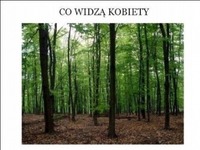 LAS- co widzą KOBIETY a co widzą MĘŻCZYŹNI- dobre!