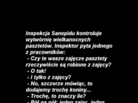 Inspekcja Sanepidu w wytwórni pasztetów ;D Z czego oni to robią...?