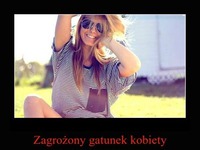 Zagrożony gatunek kobiety