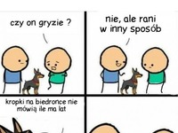 HAHA historia o psie, który zrujnuje ci dzieciństwo :D ała...