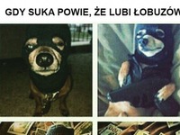 Ale fajny łobuz