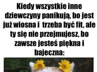 Jestem bajeczna