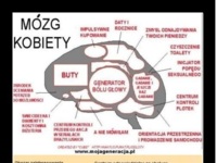 MÓZG Kobiety vs MÓZG Mężczyzny! Sprawdź różnicę! :P