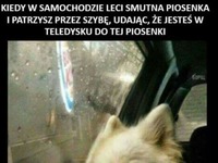 za każdym razem
