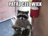 patrz człowiek!