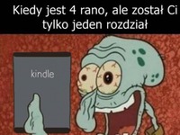 Ostatni rozdział