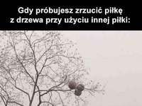 Może się uda