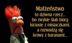 Małżeństwo to dziwna rzecz