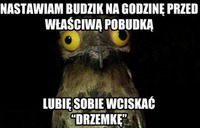 Lubię sobie wcisnąć