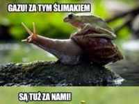 Ślimak