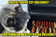 Chcesz suche czy oblizane?