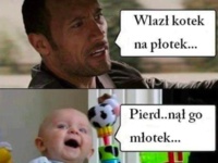 Wlazł kotek na płotek... Zobacz co dalej wymyślił :D