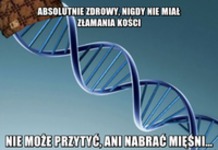 Absolutnie zdrowy