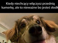 Jest słodki