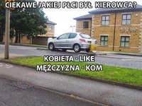 zgadnij płeć